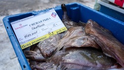 Свежая камбала по доступной цене: рыбаки Корсакова порадовали жителей новым уловом