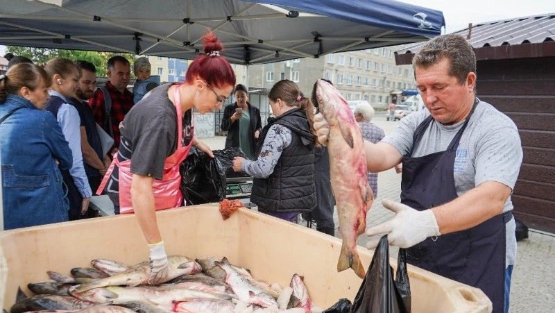 Более шести тонн свежей красной рыбы продали по доступной цене в Корсакове