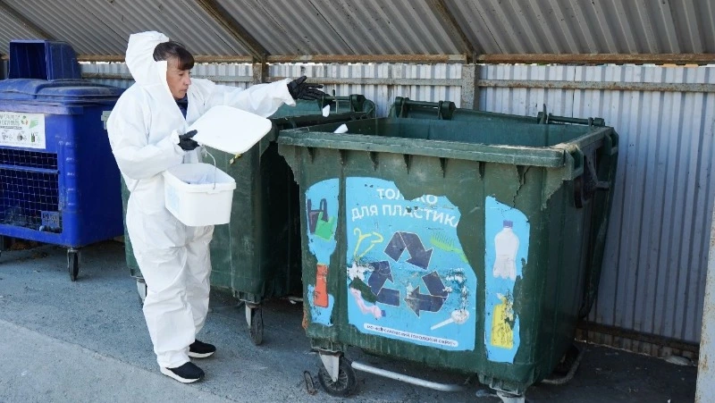 Массовая обработка контейнерных площадок от крыс началась в Корсакове