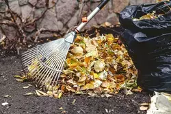 Подготовка сада к зиме: важные дела в конце ноября