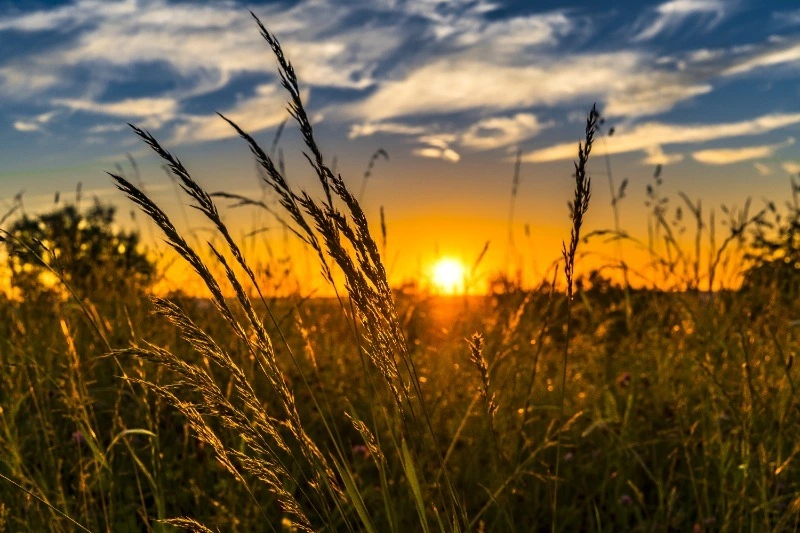 Народные приметы на 3 сентября, что нельзя делать в этот день