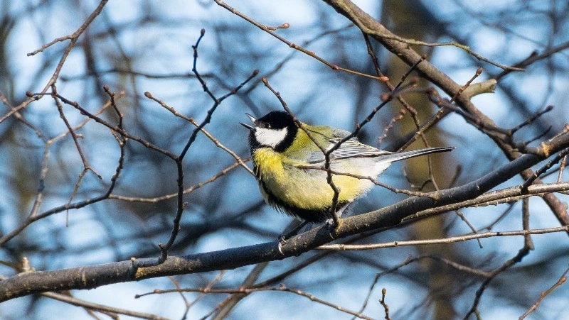   Народные приметы на 2 апреля — что нельзя делать в этот день