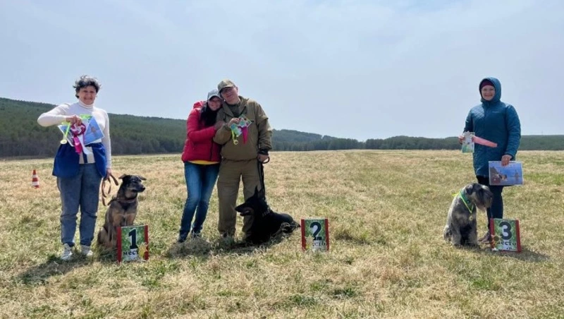 В Корсакове прошли соревнования «Кубок Панды-2025»: собаки сдали экзамены по послушанию и защите