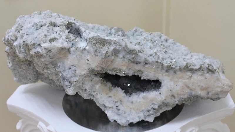 В музее появился необычный экспонат