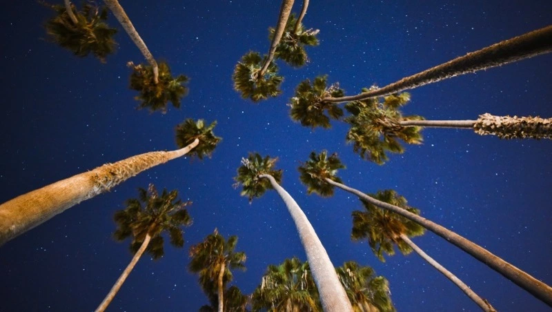 Гороскоп на 15 августа 2023 года для всех Знаков Зодиака — советы астролога