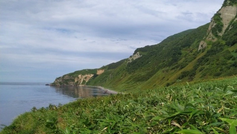 На Сахалине появится новый географический объект — мыс «Ефремова»