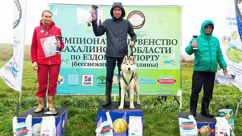 «Шустрые лапы»