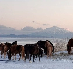 Туманный вулкан Тятя: красивые фотографии с острова Кунашир 