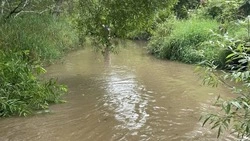 Русло реки Корсаковки расчищают для предотвращения подтоплений