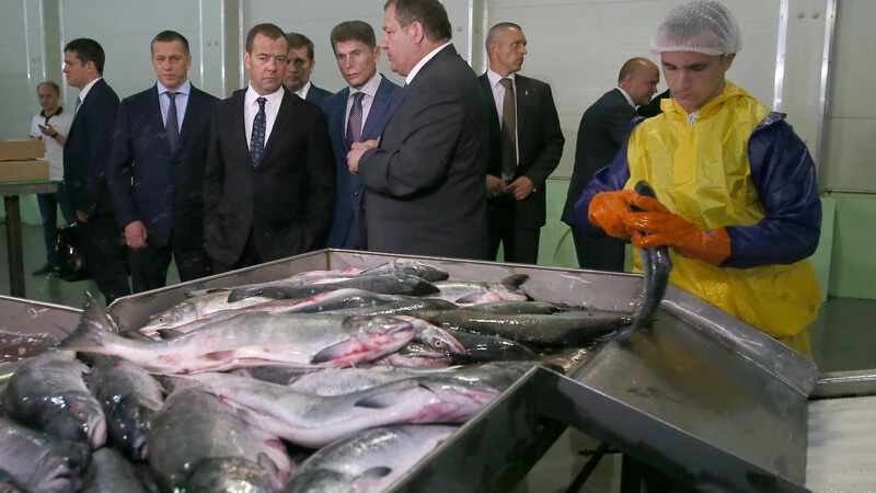 Новый механизм поддержки рыбаков