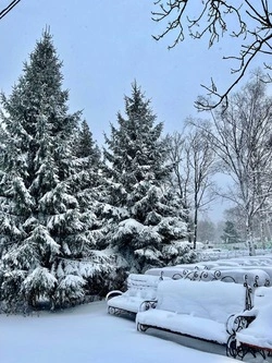 Зимняя сказка: красивые фотографии из городского парка Южно-Сахалинска 