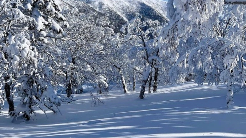 Гора Пушкинская: красивые фотографии с острова Сахалин 