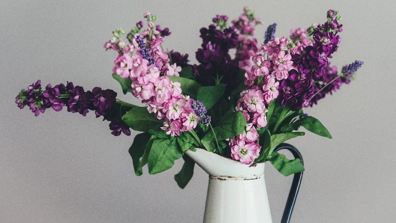 Народные приметы на 29 июля — что нельзя делать в Финогеев день