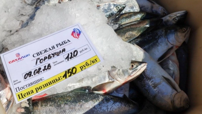 В Корсакове начали продавать свежую горбушу по социальной цене