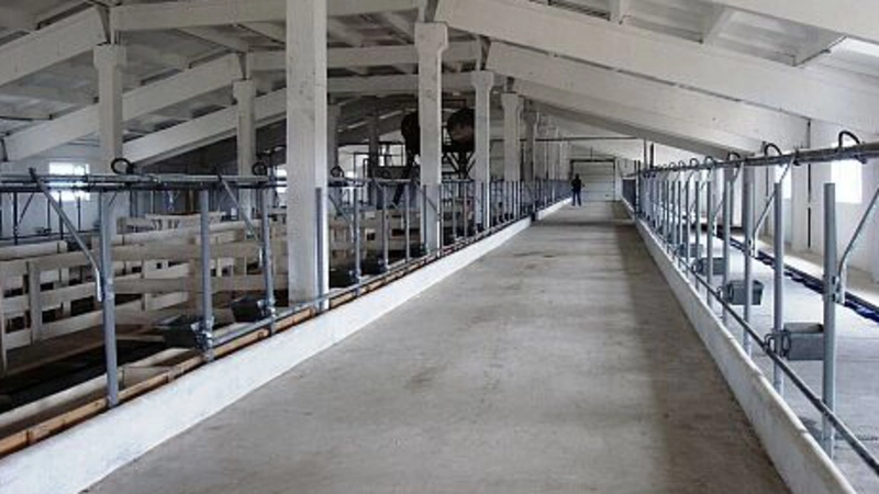 В селе Раздольном готовится  к открытию молочно-товарная  ферма на 1000 голов основного стада