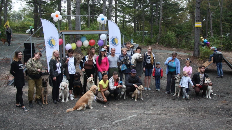 Счастливые собаки, чистые улицы