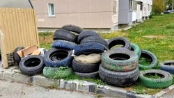 Сахалинцам напомнили, куда сдавать старые автомобильные шины