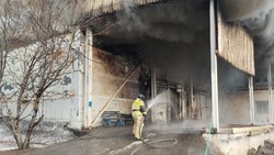 Стали известны подробности пожара в Корсакове