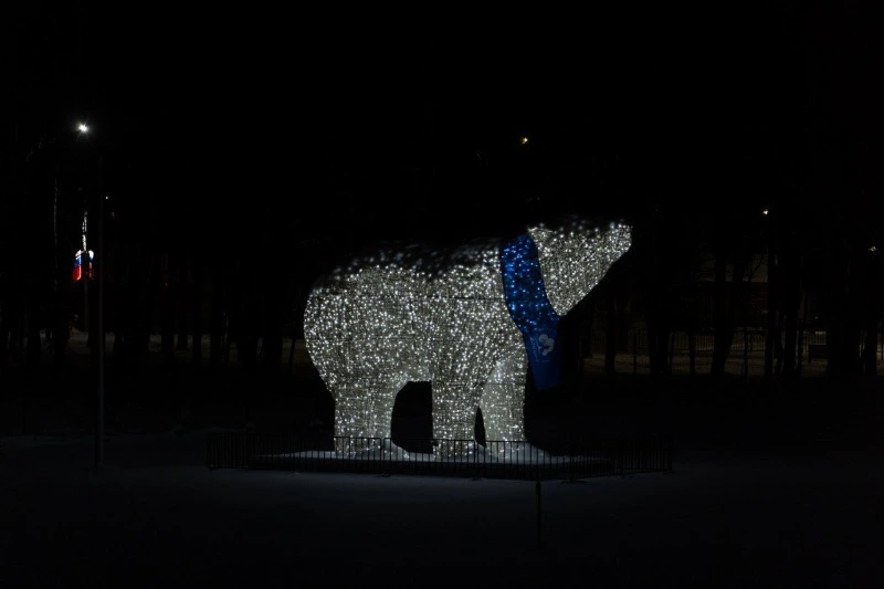 Десять елей украсят Южно-Сахалинск к Новому году