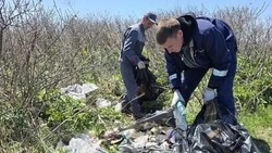 "Чистый парк": в Корсаковском округе продолжаются экологические акции