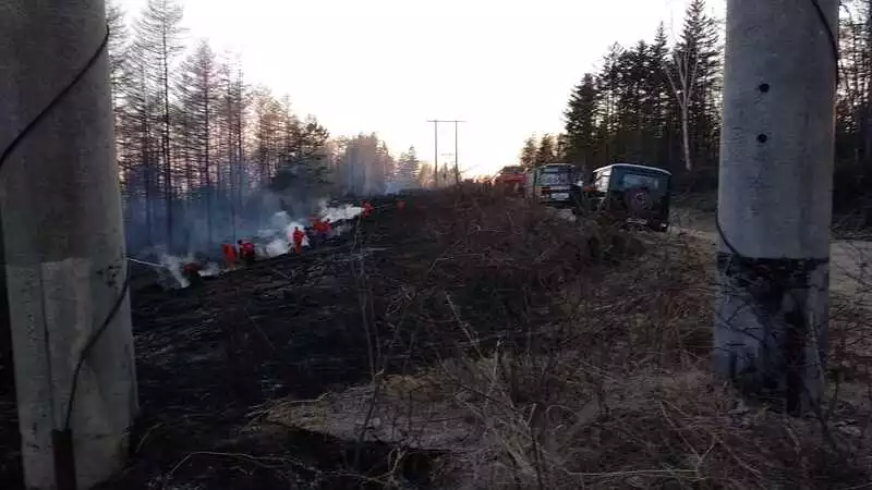 Три возгорания травы потушили в Корсаковском районе в апреле