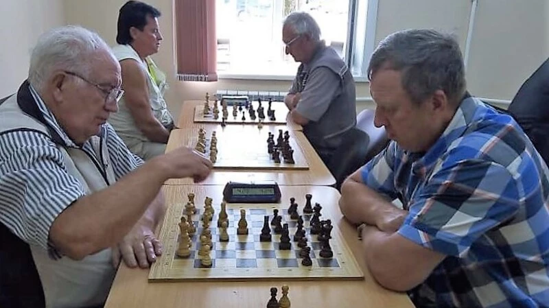Шахматы