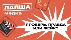 Фейки — контент, который нас обманывает | А. Пушной и «Лапша Медиа»