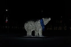 Десять елей украсят Южно-Сахалинск к Новому году