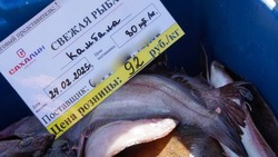 Корсаковцы могут приобрести свежую рыбу по выгодной цене