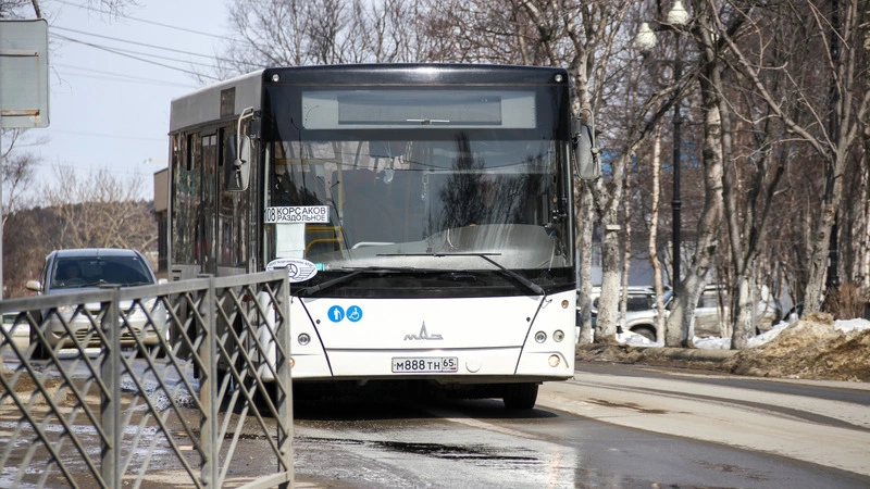 Автобус до Раздольного