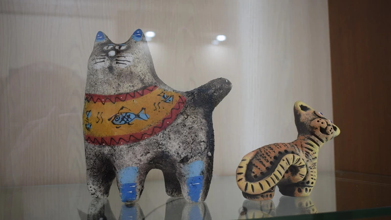 Котовасия в музее