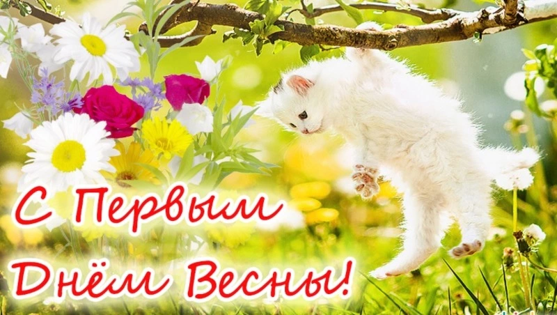 Красивые картинки и открытки на 1 марта с Первым днем весны
