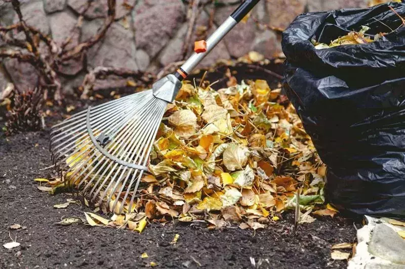 Подготовка сада к зиме: важные дела в конце ноября