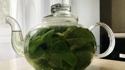 Полезные рецепты: охлаждающие напитки на жаре