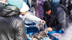 В Корсакове продолжается реализация свежевыловленной рыбы по социальным ценам