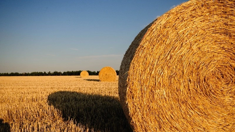 Церковный праздник 2 августа — народные приметы на Ильин день, что нельзя делать