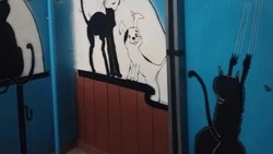 Корсаковцы выберут самый уютный подъезд