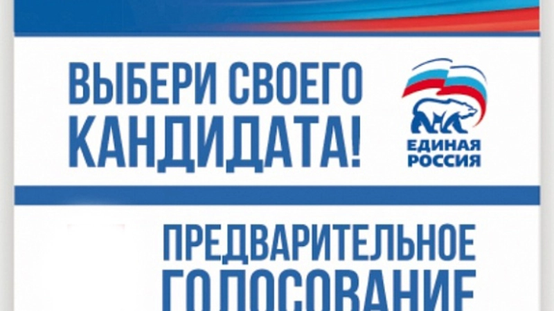 Народное  голосование – общее дело