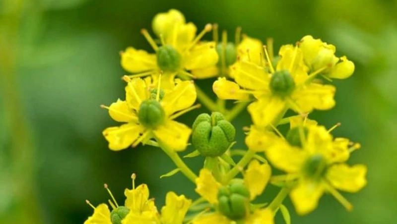 Церковный праздник 23 октября 2024 года: Евлампий Зимоуказатель, традиции и приметы