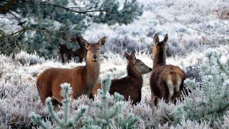 Церковный праздник 17 ноября 2023 года: что нельзя делать, приметы на день Еремы