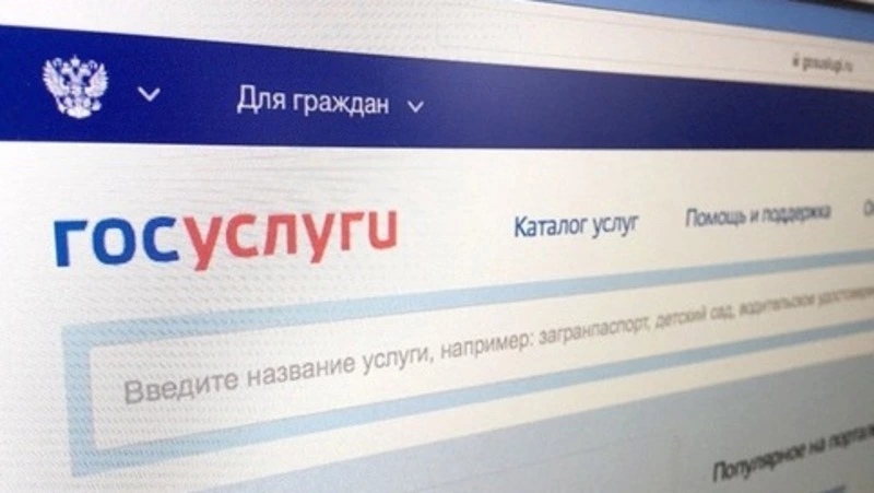 На Госуслугах появились новые данные о россиянах