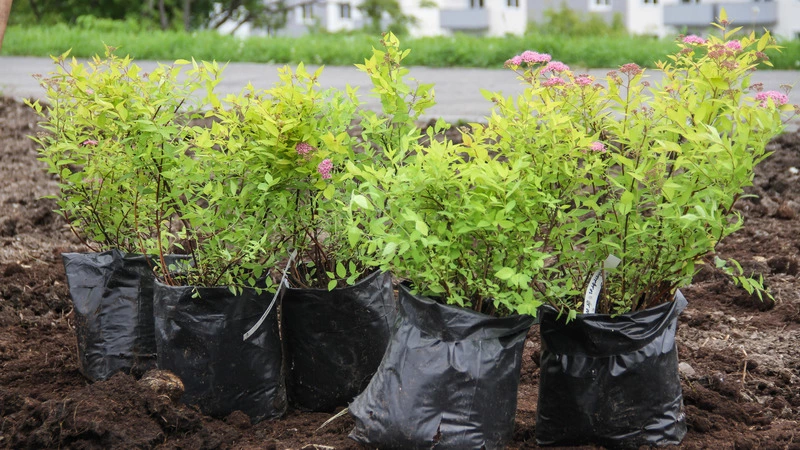 Хороший результат!