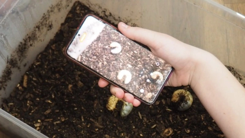 Жуки-олени и носороги: корсаковцы узнали секреты насекомых на мастер-классе энтомолога