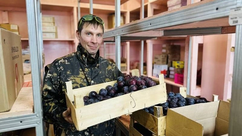 Более 30 человек с инвалидностью устроили на работу в Корсакове