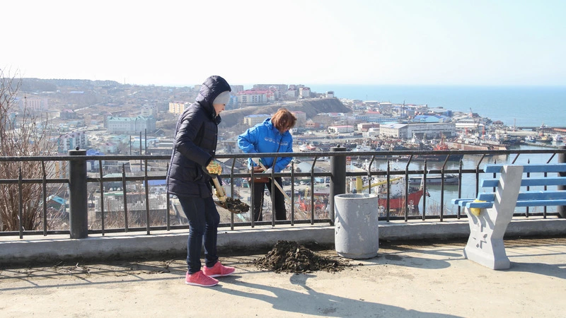 Большая уборка в портовом городе