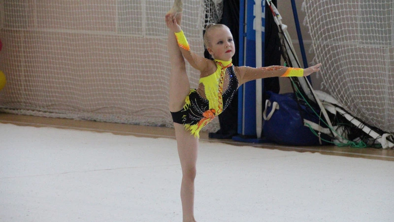 Гибкость и грация