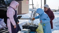 Сельские жители Сахалина скупили весь улов наваги за считанные часы!