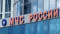 Мошенники выдают себя за спасателей МЧС и продают пожарные датчики по завышенным ценам