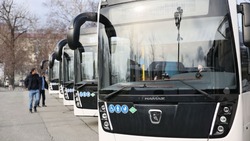 Сахалинская область обновила автобусный парк: 381 новая машина за два года