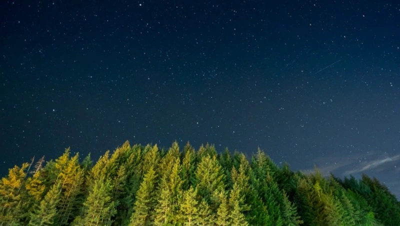 Гороскоп на 10 марта 2023 года для всех Знаков Зодиака — советы астролога